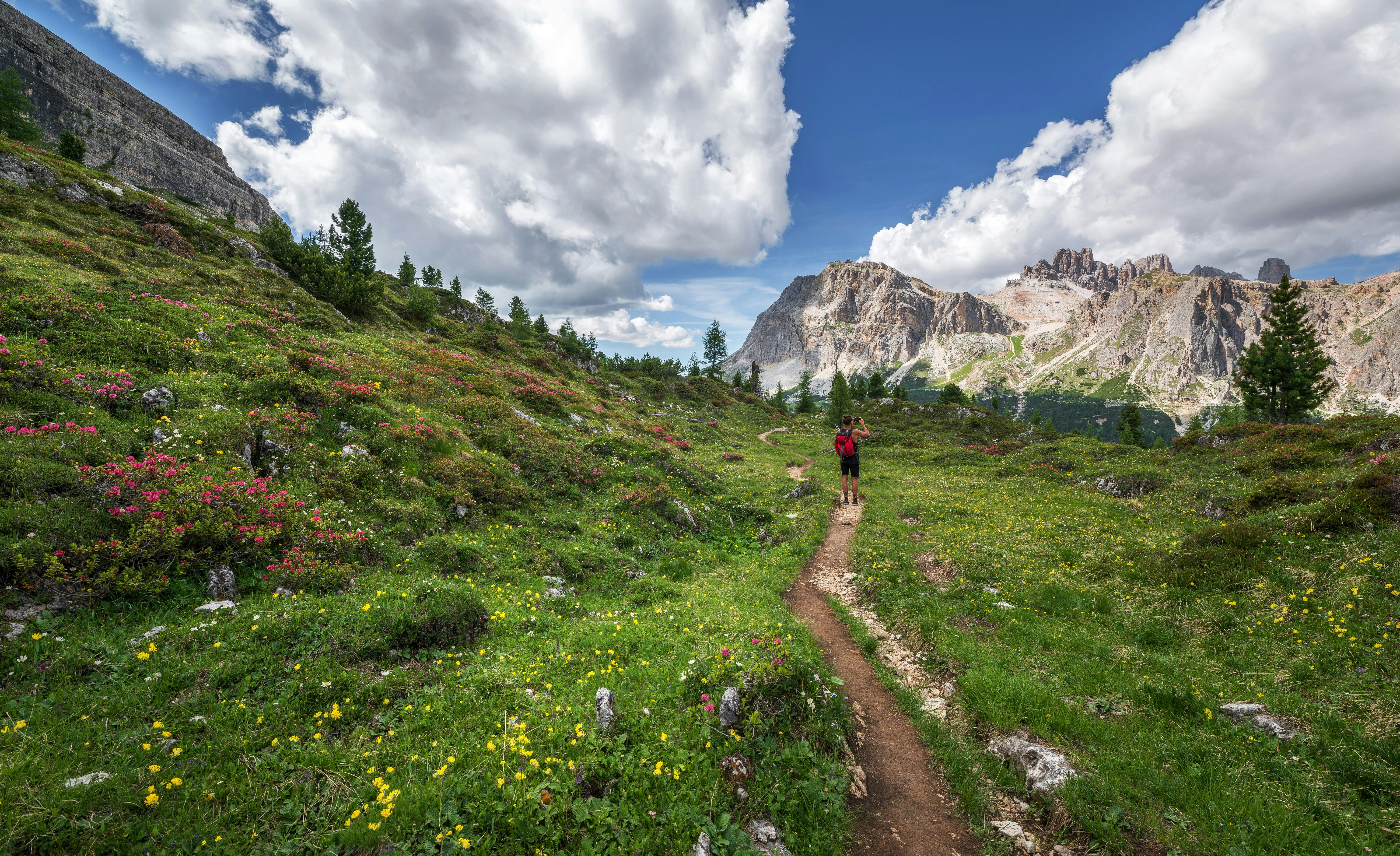Valley of Flowers Trek